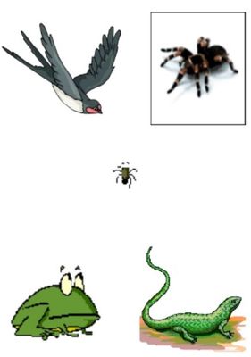 Image for question 57