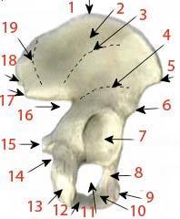 Image for question 1