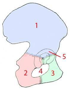 Image for question 2