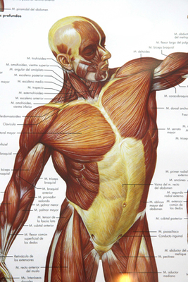 Image for question 4
