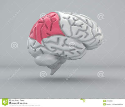 Image for question 1