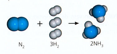 Image for question 11