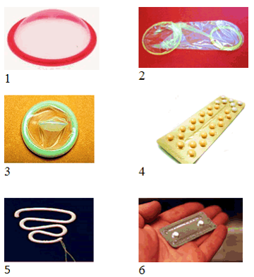Image for question 5