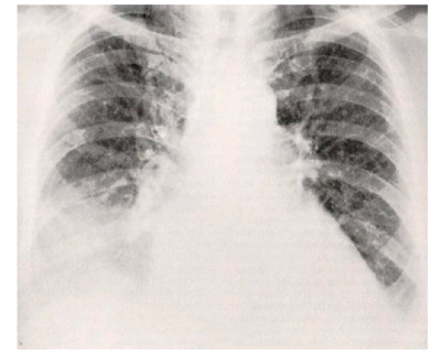 Image for question 24
