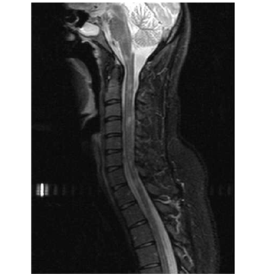 Image for question 53