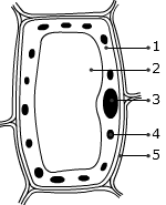 Image for question 2