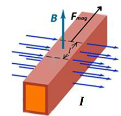 Image for question 22