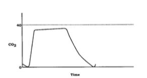 Image for question 39