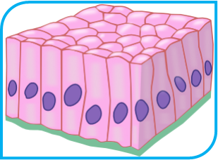 Image for question 6