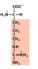 Image for question 26