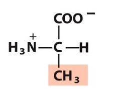 Image for question 32