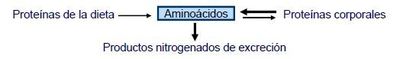 Image for question 65