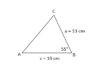 Image for question 25