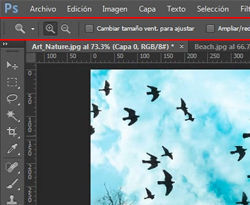 Image for question 5