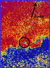 Image for question 8
