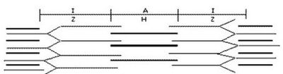 Image for question 1