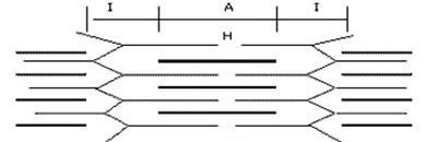 Image for question 2