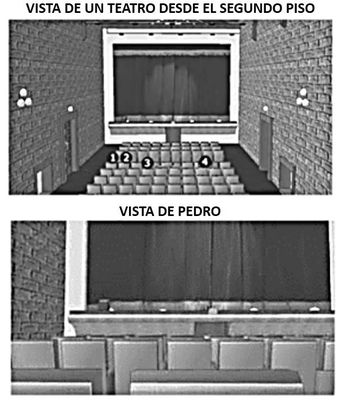 Image for question 48