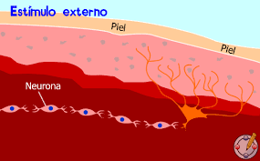 Image for question 3