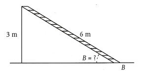 Image for question 8