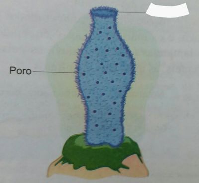 Image for question 4