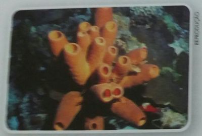Image for question 7