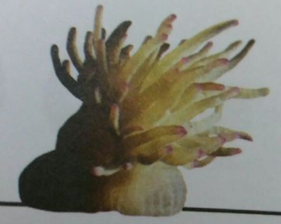 Image for question 9