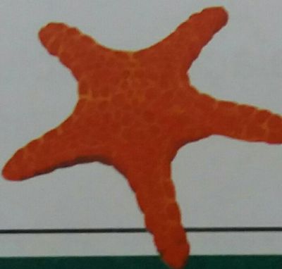 Image for question 14