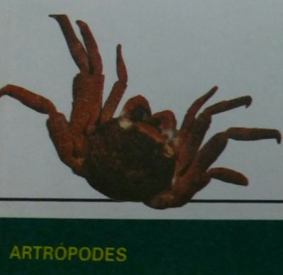 Image for question 18