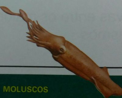 Image for question 29