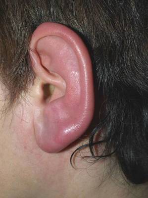 Image for question 8