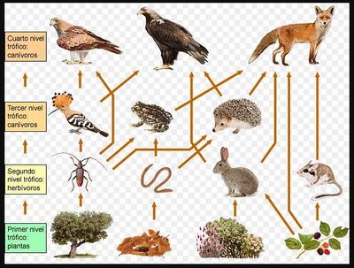Image for question 8