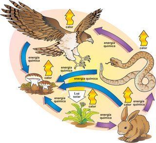 Image for question 9