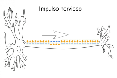 Image for question 5