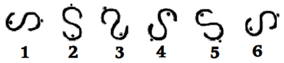 Image for question 12