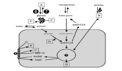 Image for question 9