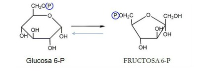 Image for question 14