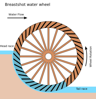 Image for question 11