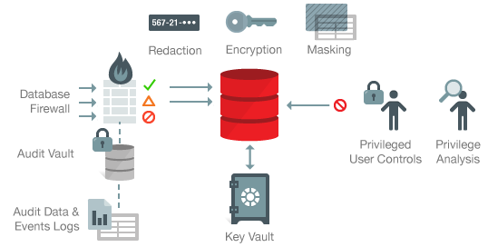 La apuesta de Oracle pasa por los servicios de bases de datos en nube privada