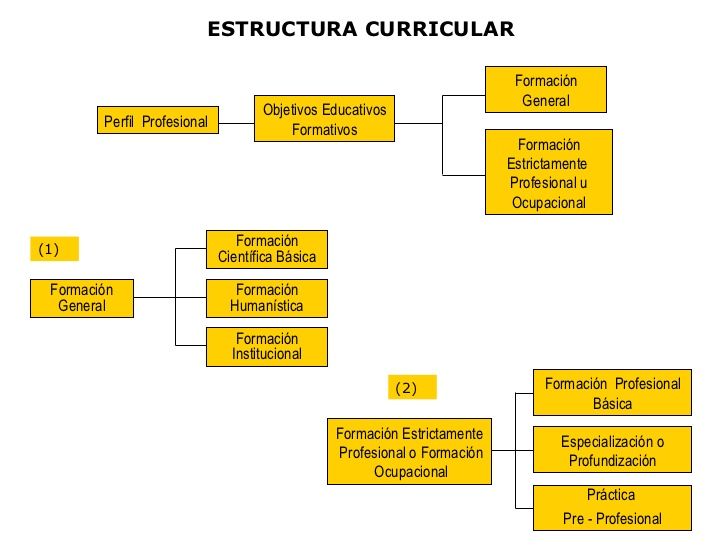 Propuesta de plan de trabajo para la evaluación y diseño curricular