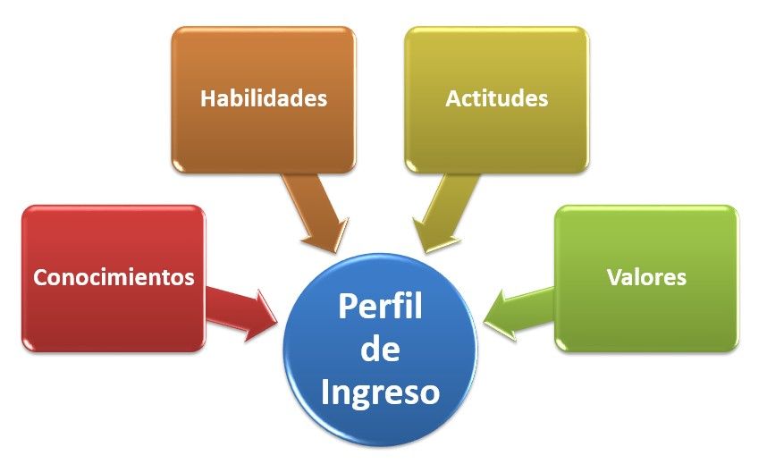 Propuesta de plan de trabajo para la evaluación y diseño curricular