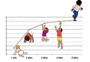 Nutrición en la Infancia (0 a 12 años de edad)