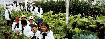 Observación y Evaluación de los ambientes de aprendizaje