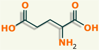 Vitamina B9: Folato, Acido Folico, Folacina