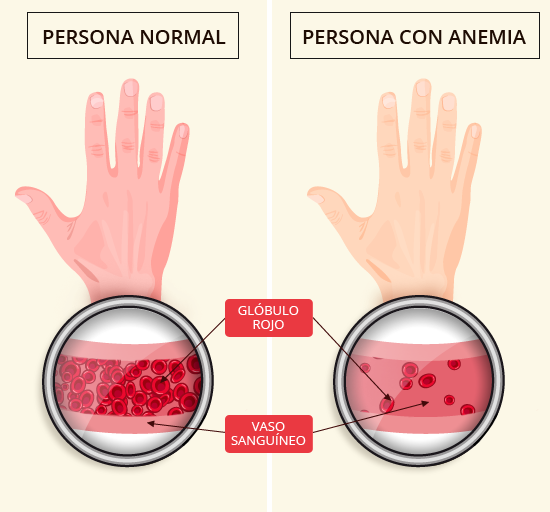 Vitamina B9: Folato, Acido Folico, Folacina