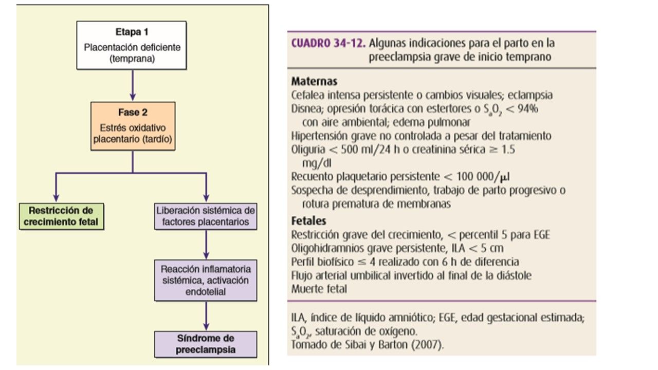 Sesión 18: Enfermedad Hipertensiva del embarazo