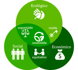 Del Desarrollo sostenible a la sostenibilidad ambiental