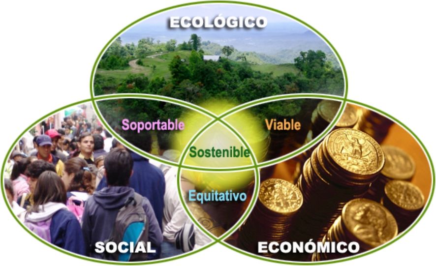 Del Desarrollo sostenible a la sostenibilidad ambiental