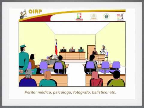 DIFERENCIAS ENTRE ACCIÓN PENAL PÚBLICA Y ACCIÓN PENAL PRIVADA