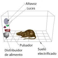 Psicología: Es la ciencia que estudia la conducta y los procesos mentales mediante un método comprobable y experimental.